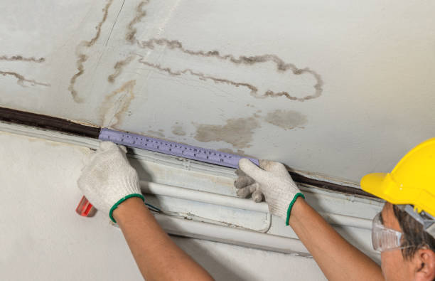 Reliable Mold Remediation contractor in Hayward, CA by Water Damage Irwin